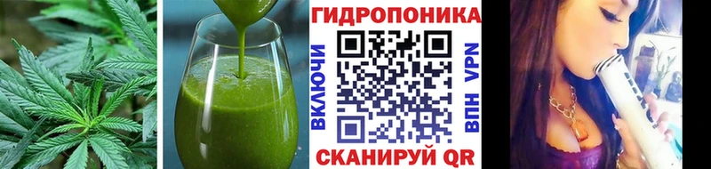 Cannafood конопля  купить закладку  Родники 