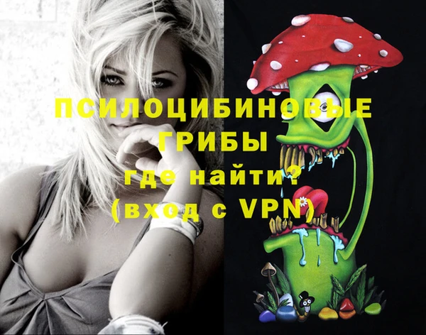 круглые Алзамай