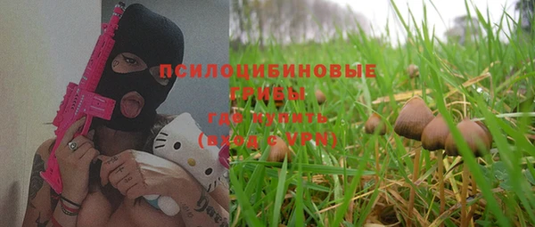 круглые Алзамай