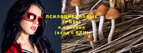 круглые Алзамай