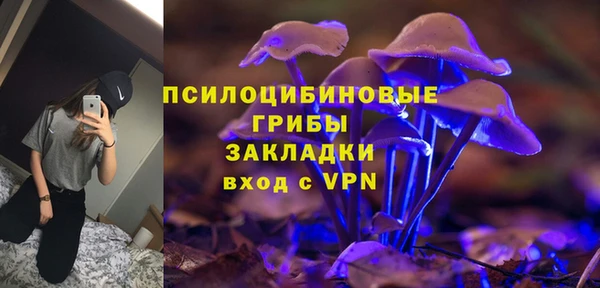 соль ск Алексин