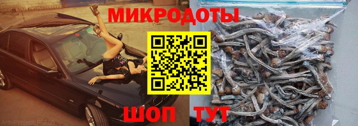 Галлюциногенные грибы прущие грибы Родники