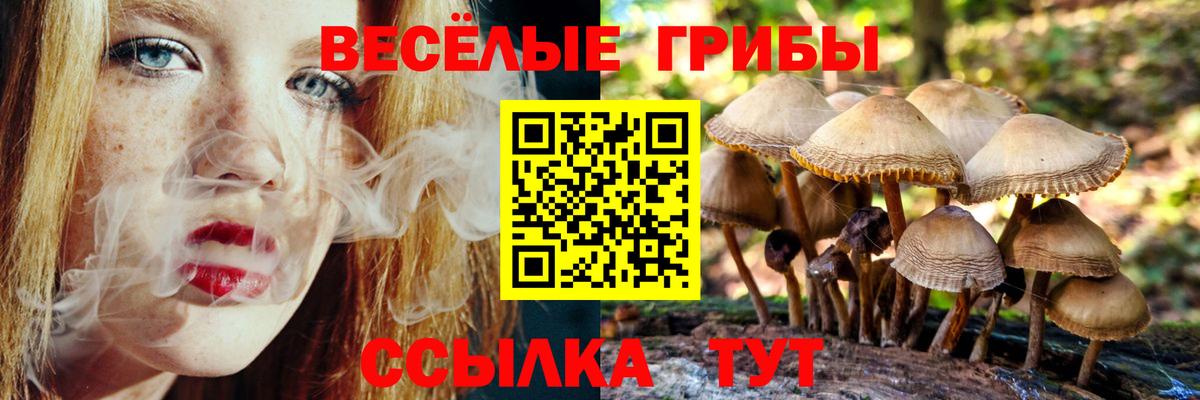 Родники  Галлюциногенные грибы Psilocybe  Вход с VPN  Псилоцибиновые грибы Psilocybine cubensis 